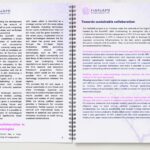 Open policy paper booklet from the HANAMI project, showing two pages of text on EU–Japan collaboration in HPC.